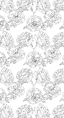 Modern roller blind Drawn roses