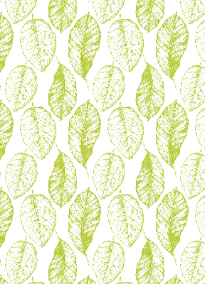 Roller blind for large window Lime leaves