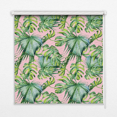 Roller blind for large window Tropical leaf varieties