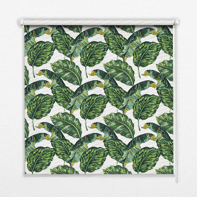 Modern roller blind Exotic leaves