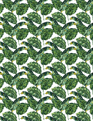 Modern roller blind Exotic leaves