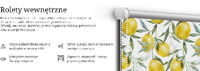 Roller blind for large window Lemons