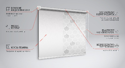 Modern roller blind Gray scales