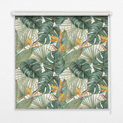 Modern roller blind Tropical plants
