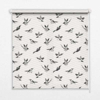 Modern roller blind Birds