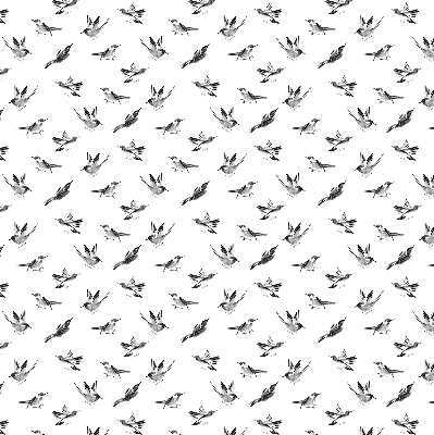 Modern roller blind Birds