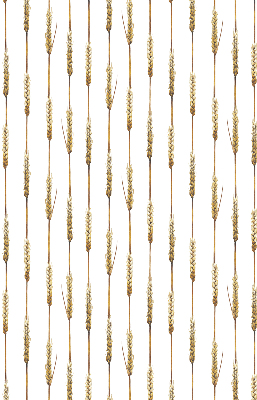 Fabric roller blind Cereal