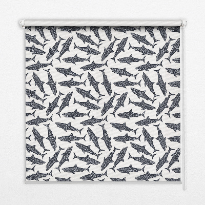 Roller blind for large window Sharks
