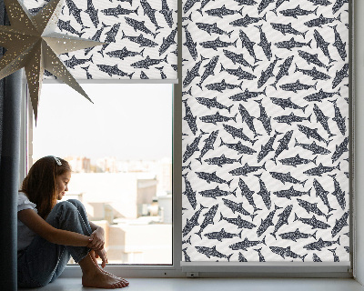 Roller blind for large window Sharks