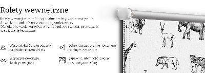 Fabric roller blind Animals