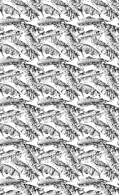 Fabric roller blind Fern leaves