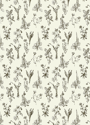 Modern roller blind Drawn flowers