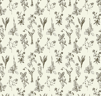 Modern roller blind Drawn flowers
