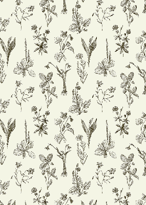 Modern roller blind Drawn flowers