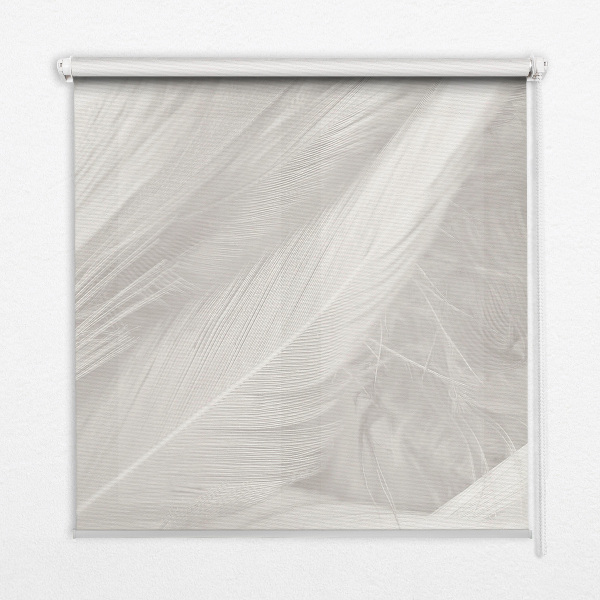 Modern roller blind feathers