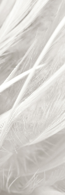 Modern roller blind feathers