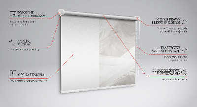 Modern roller blind feathers