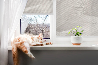 Modern roller blind feathers