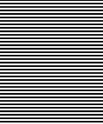 Modern roller blind Black stripes