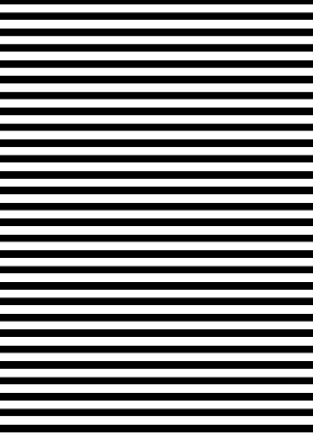 Modern roller blind Black stripes
