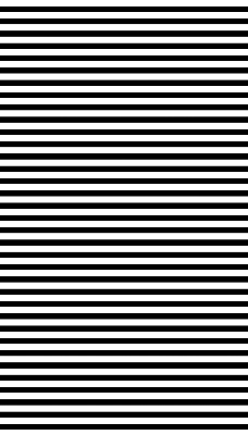 Modern roller blind Black stripes