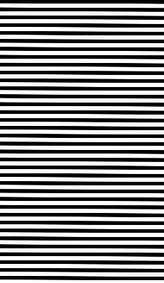 Modern roller blind Black stripes