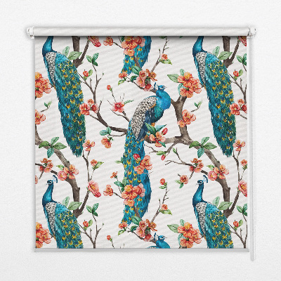 Modern roller blind Peacock on a branch