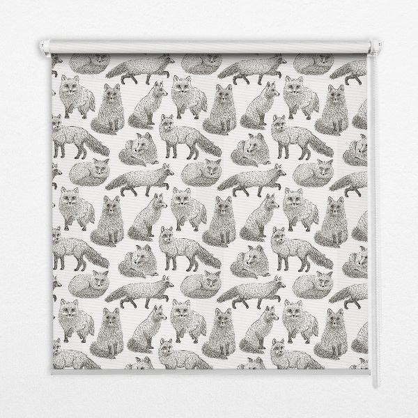 Modern roller blind Gray foxes