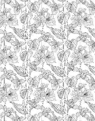 Fabric roller blind Sketched flowers
