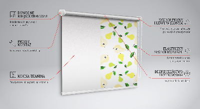 Roller blind for large window Pears