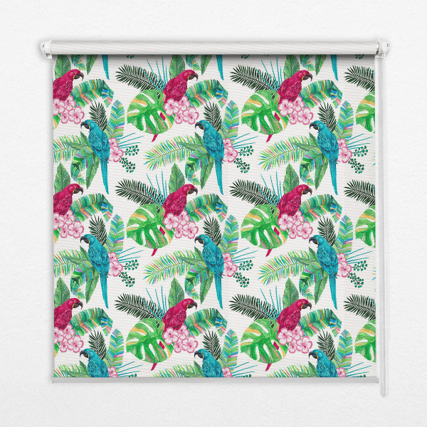 Roller blind for large window Parrots