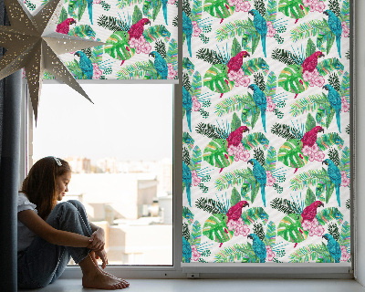 Roller blind for large window Parrots