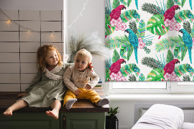 Roller blind for large window Parrots