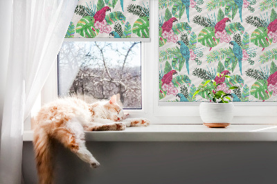 Roller blind for large window Parrots