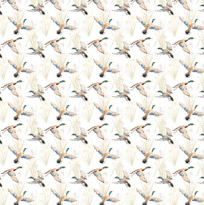 Fabric roller blind Flying ducks