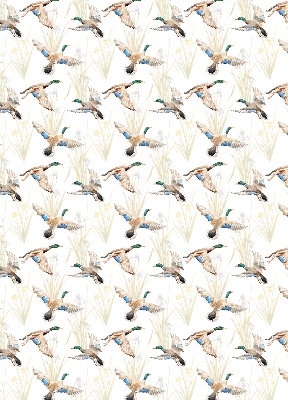 Fabric roller blind Flying ducks