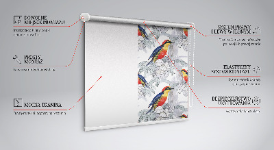 Roller blind for large window Colorful bird