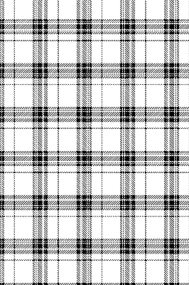 Modern roller blind Gray tartan