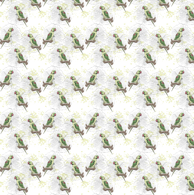 Roller blind for large window Parrots on a branch