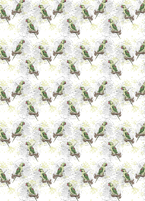 Roller blind for large window Parrots on a branch