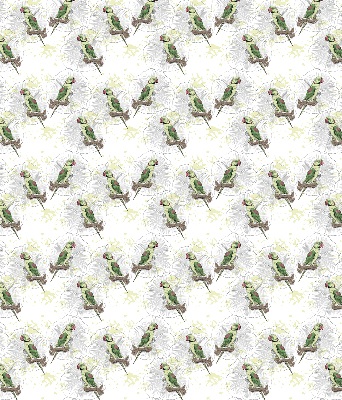 Roller blind for large window Parrots on a branch