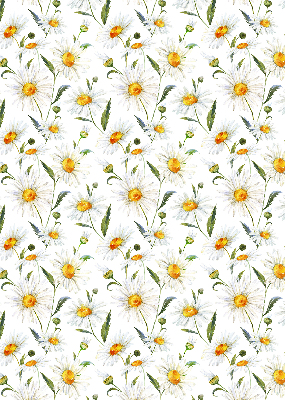 Modern roller blind Daisies