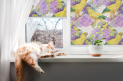 Roller blind for large window Yellow parrots