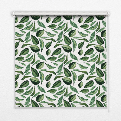 Roller blind for large window Leaves falling from trees