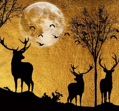 Modern roller blind Deer at night