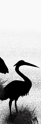 Fabric roller blind Herons