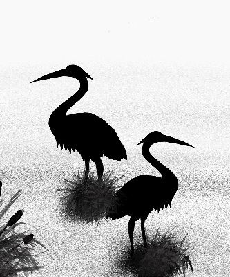 Fabric roller blind Herons