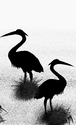 Fabric roller blind Herons
