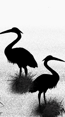 Fabric roller blind Herons