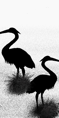 Fabric roller blind Herons